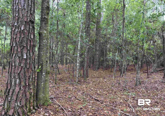 Photo 1 of Land for sale at Lot 5 County Rd 48 #5, Robertsdale, AL 36567 | MLS# 399866 | Listing updated on 2026-09-02