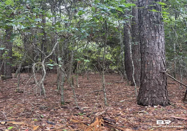Photo 2 of Land for sale at Lot 5 County Rd 48 #5, Robertsdale, AL 36567 | MLS# 399866 | Listing updated on 2026-09-02