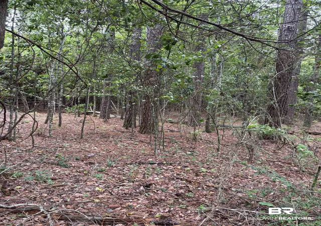 Photo 3 of Land for sale at Lot 5 County Rd 48 #5, Robertsdale, AL 36567 | MLS# 399866 | Listing updated on 2026-09-02