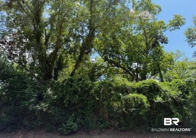 Photo 2 of Land for sale at 1214 Main St, Daphne, AL 36526 | MLS# 385864 | Listing updated on 2026-09-09