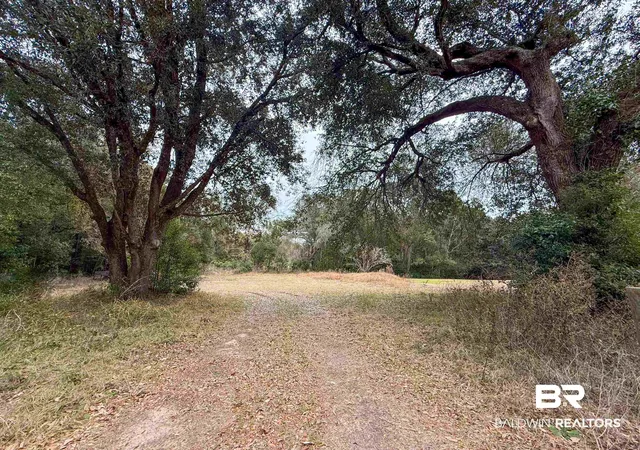 Photo 1 of Land for sale at 12566 County Rd 49, Foley, AL 36535 | MLS# 383577 | Listing updated on 2026-08-03