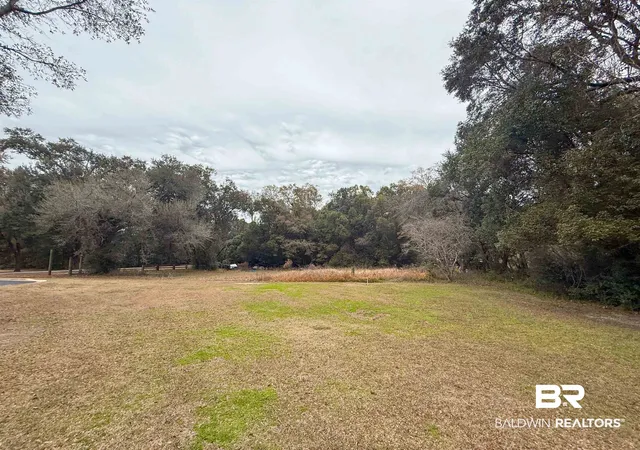 Photo 2 of Land for sale at 12566 County Rd 49, Foley, AL 36535 | MLS# 383577 | Listing updated on 2026-08-03