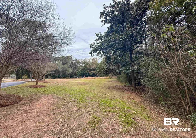 Photo 3 of Land for sale at 12566 County Rd 49, Foley, AL 36535 | MLS# 383577 | Listing updated on 2026-08-03