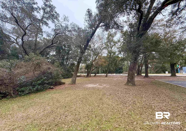 Photo 3 of Land for sale at 12566 County Rd 49, Foley, AL 36535 | MLS# 383577 | Listing updated on 2026-08-03