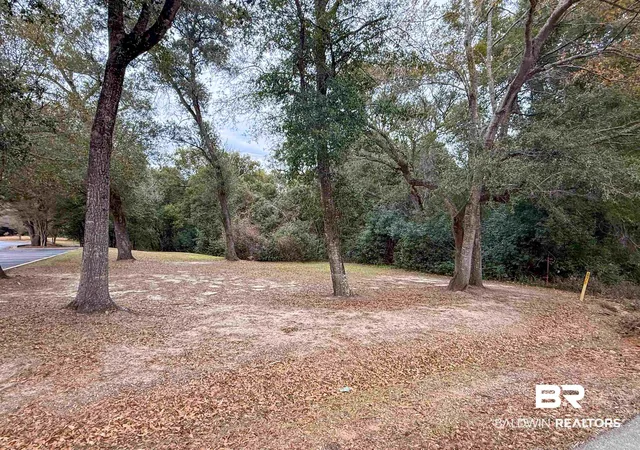 Photo 4 of Land for sale at 12566 County Rd 49, Foley, AL 36535 | MLS# 383577 | Listing updated on 2026-08-03