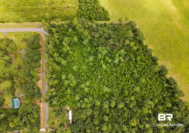 Photo 4 of Land for sale at 5256 N Swift Church Rd, Foley, AL 36535 | MLS# 399994 | Listing updated on 2026-09-29