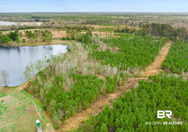 Photo 2 of Land for sale at 30380 County Rd 49, Loxley, AL 36551 | MLS# 399370 | Listing updated on 2026-07-28