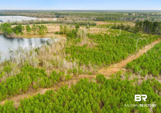 Photo 3 of Land for sale at 30380 County Rd 49, Loxley, AL 36551 | MLS# 399370 | Listing updated on 2026-07-28