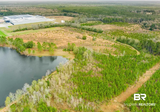 Photo 4 of Land for sale at 30380 County Rd 49, Loxley, AL 36551 | MLS# 399370 | Listing updated on 2026-07-28