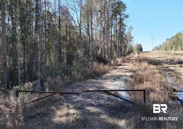 Photo 3 of Land for sale at 00 Radcliff Rd, Saraland, AL 36571 | MLS# 390834 | Listing updated on 2026-08-02