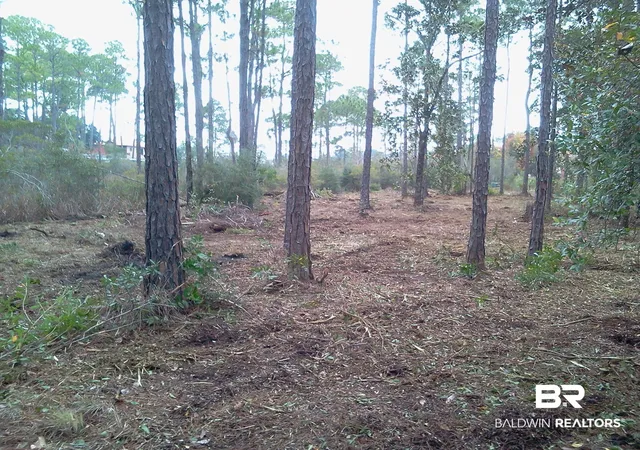Photo 3 of Land for sale at 0 Harbor St, Elberta, AL 36530 | MLS# 398602 | Listing updated on 2026-08-13