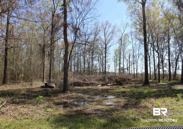 Photo 1 of Land for sale at Heron Point Dr, Lowndesboro, AL 36752 | MLS# 394247 | Listing updated on 2026-09-05