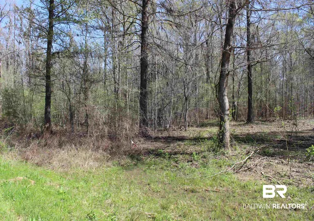 Photo 2 of Land for sale at Heron Point Dr, Lowndesboro, AL 36752 | MLS# 394247 | Listing updated on 2026-09-05