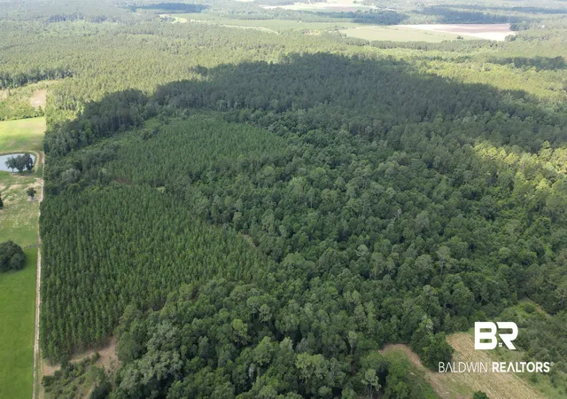Photo 4 of Land for sale at 20033 Greek Cemetery Rd, Robertsdale, AL 36567 | MLS# 398266 | Listing updated on 2026-09-02