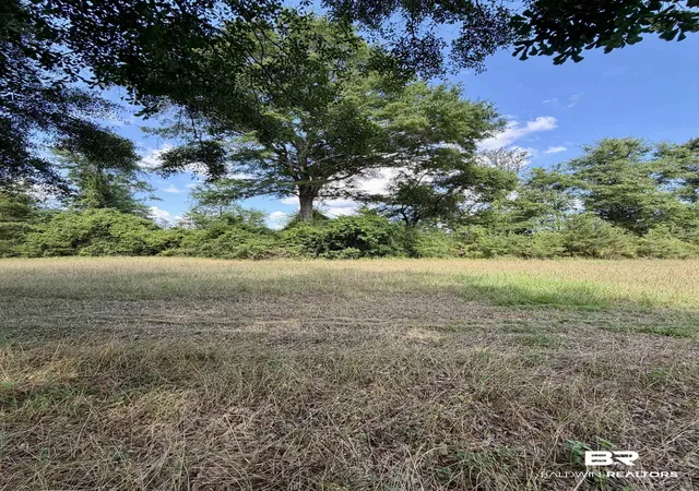 Photo 2 of Land for sale at 0 Green Town Rd, Bay Minette, AL 36507 | MLS# 399270 | Listing updated on 2026-09-16