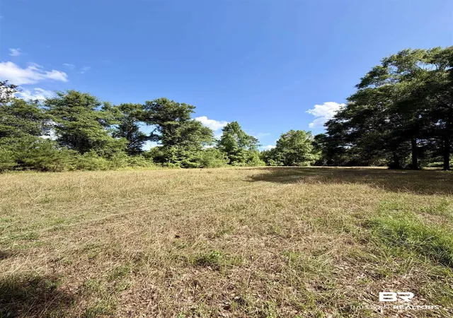 Photo 3 of Land for sale at 0 Green Town Rd, Bay Minette, AL 36507 | MLS# 399270 | Listing updated on 2026-09-16
