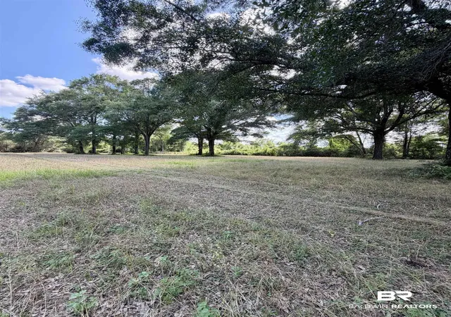 Photo 3 of Land for sale at 0 Green Town Rd, Bay Minette, AL 36507 | MLS# 399270 | Listing updated on 2026-09-16
