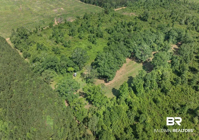 Photo 4 of Land for sale at 0 Green Town Rd, Bay Minette, AL 36507 | MLS# 399270 | Listing updated on 2026-09-16