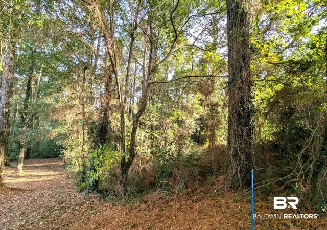 Photo 4 of Land for sale at 0 Montrose Woods Dr, Fairhope, AL 36532 | MLS# 388537 | Listing updated on 2026-08-02