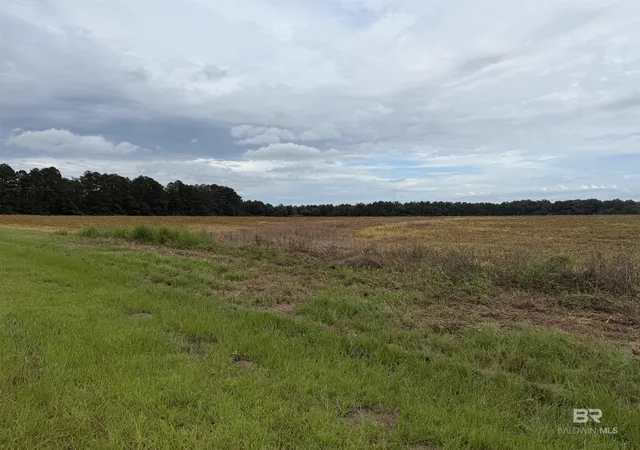 Homes for sale in Century, FL | 7600 Block Bratt Road, Century, FL 32535 | MLS# 398125