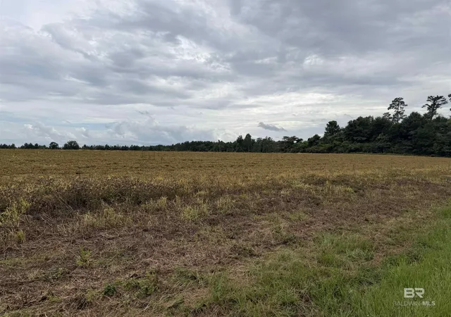 Homes for sale in Century, FL | 7600 Block Bratt Road, Century, FL 32535 | MLS# 398125