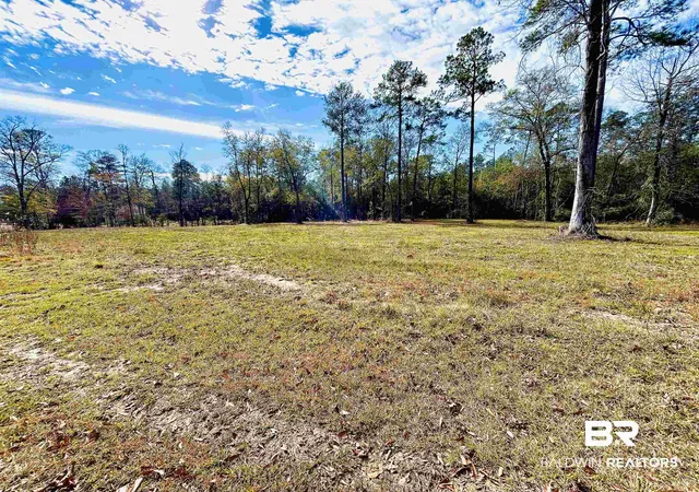 1st image of 0 Tesone Boulevard, Brewton, AL 36426 | MLS# 372849
