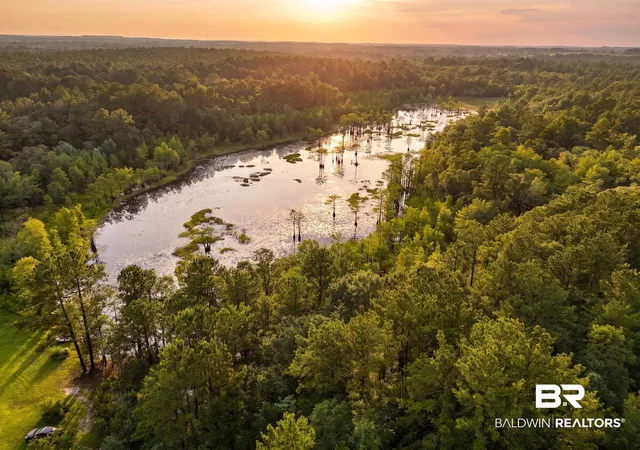 Photo 2 of Land for sale at 0 Doyle Morgan Rd, Samson, AL 36477 | MLS# 398369 | Listing updated on 2026-09-12