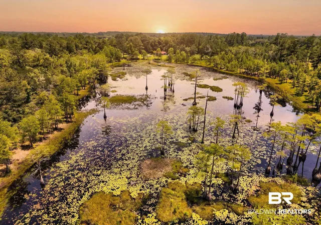 Photo 3 of Land for sale at 0 Doyle Morgan Rd, Samson, AL 36477 | MLS# 398369 | Listing updated on 2026-09-12