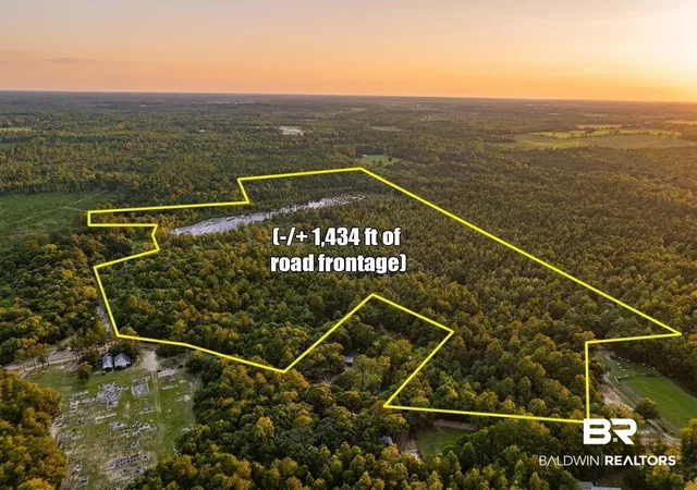 Photo 3 of Land for sale at 0 Doyle Morgan Rd, Samson, AL 36477 | MLS# 398369 | Listing updated on 2026-09-12