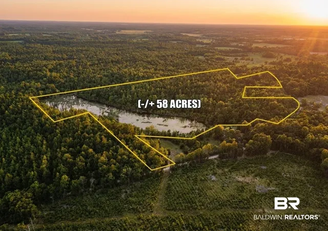 Photo 4 of Land for sale at 0 Doyle Morgan Rd, Samson, AL 36477 | MLS# 398369 | Listing updated on 2026-09-12