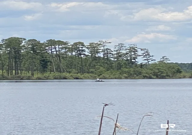 Photo 3 of Land for sale at 51 Steelwood Ridge Road, Loxley, AL 36551 | MLS# 409775 | Listing updated on 2026-09-09