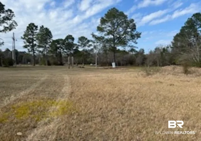 Photo 3 of Land for sale at 32840 Seminole Rd, Seminole, AL 36574 | MLS# 392826 | Listing updated on 2026-07-24