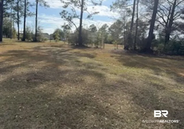 Photo 3 of Land for sale at 32840 Seminole Rd, Seminole, AL 36574 | MLS# 392826 | Listing updated on 2026-07-24