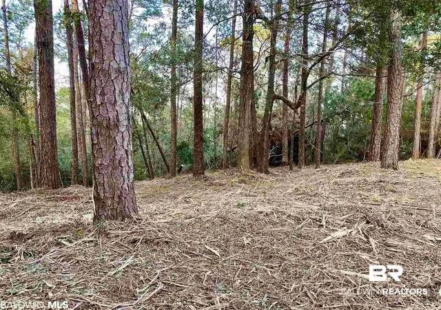 Photo 4 of Land for sale at 0 Blakeley Oaks Dr, Spanish Fort, AL 36527 | MLS# 398399 | Listing updated on 2026-09-11