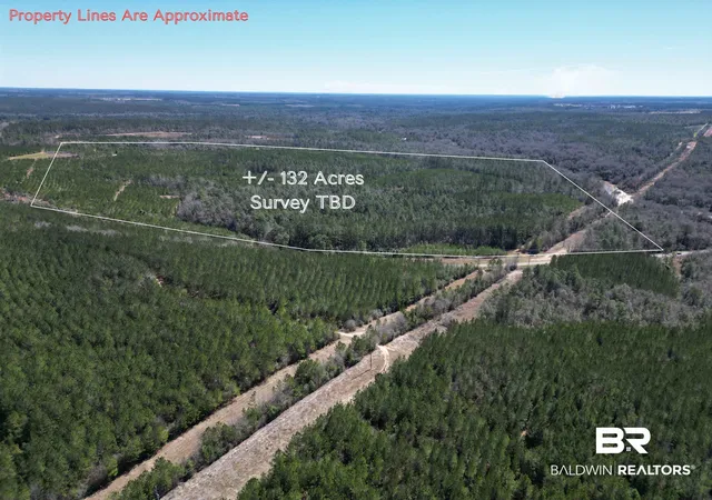 1st image of 00 Robinsonville Road, Atmore, AL 36502 | MLS# 390248