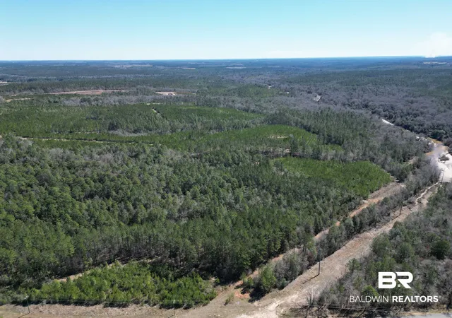 Photo 4 of Land for sale at 00 Robinsonville Rd, Atmore, AL 36502 | MLS# 390248 | Listing updated on 2026-07-24