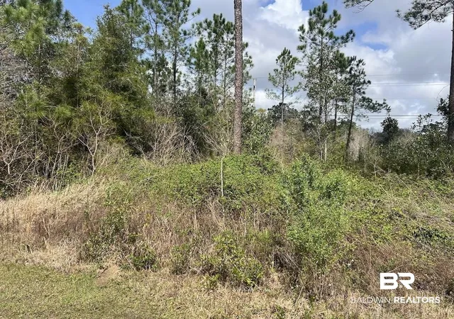 Photo 3 of Land for sale at 0 Bridgeport Dr, Summerdale, AL 36580 | MLS# 393214 | Listing updated on 2026-08-17