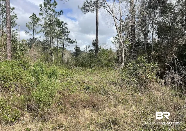 Photo 3 of Land for sale at 0 Bridgeport Dr, Summerdale, AL 36580 | MLS# 393214 | Listing updated on 2026-09-27