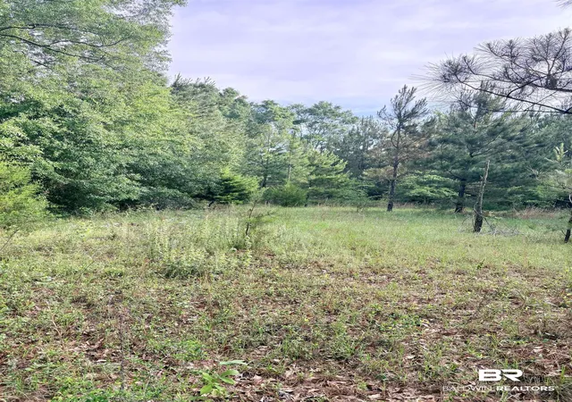14th image of 0 Joe Reeves Rd, Castleberry, AL 36432 | MLS# 396649