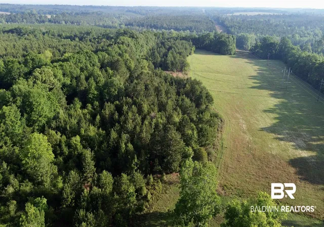 1st image of 0 Joe Reeves Rd, Castleberry, AL 36432 | MLS# 396649