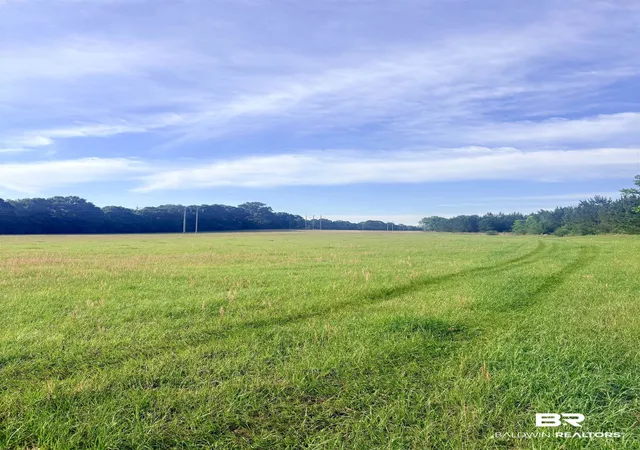 2nd image of 0 Joe Reeves Rd, Castleberry, AL 36432 | MLS# 396649