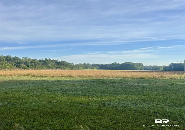 Photo 3 of Land for sale at 0 Joe Reeves Rd, Castleberry, AL 36432 | MLS# 396649 | Listing updated on 2026-09-29