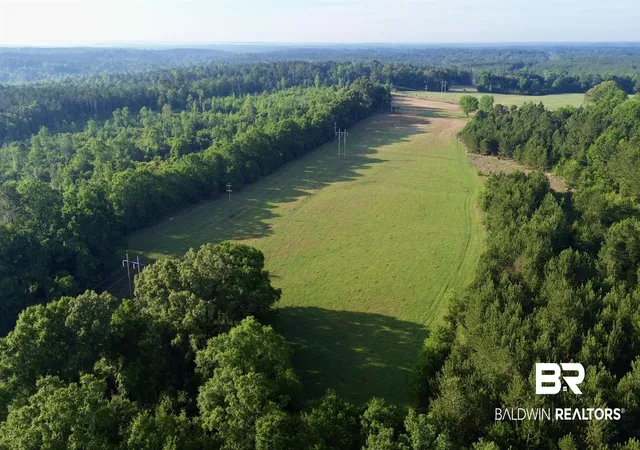 Photo 3 of Land for sale at 0 Joe Reeves Rd, Castleberry, AL 36432 | MLS# 396649 | Listing updated on 2026-09-29