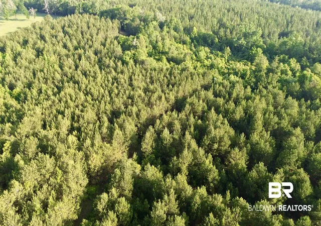 Photo 4 of Land for sale at 0 Joe Reeves Rd, Castleberry, AL 36432 | MLS# 396649 | Listing updated on 2026-09-29
