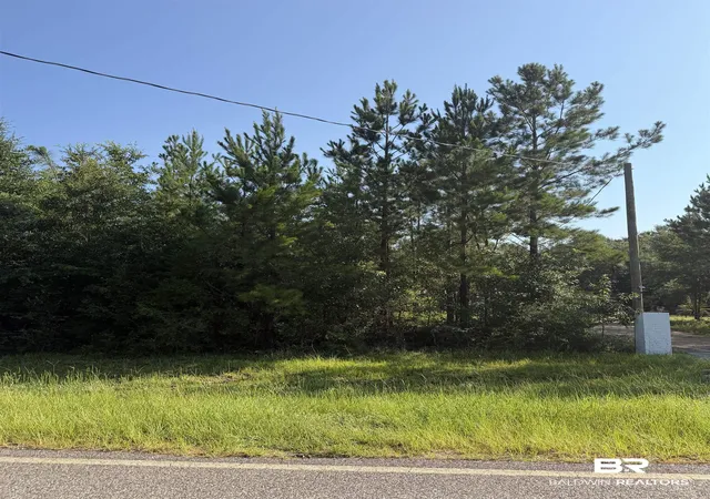 10th image of 27731 Linholm Rd, Robertsdale, AL 36567 | MLS# 399882
