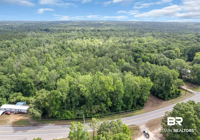 2nd image of 0 Us Hwy 31, Flomaton, AL 36441 | MLS# 397271