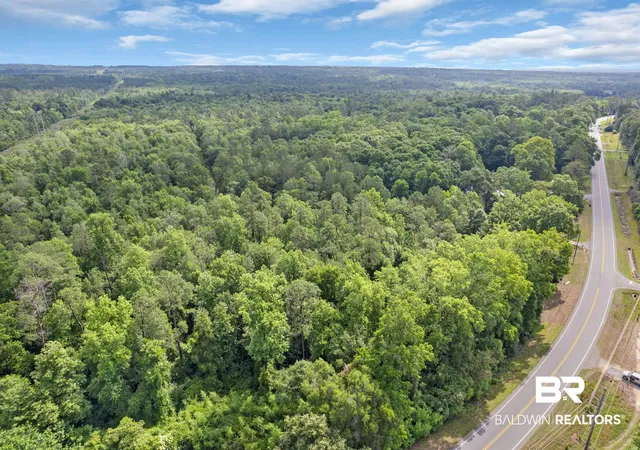 Photo 3 of Land for sale at 0 Us Hwy 31, Flomaton, AL 36441 | MLS# 397271 | Listing updated on 2026-08-04