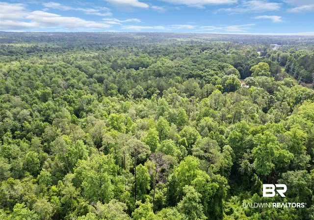 4th image of 0 Us Hwy 31, Flomaton, AL 36441 | MLS# 397271