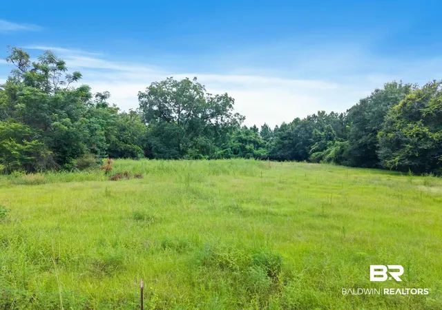 55th image of 3055 County Road 43, Evergreen, AL 36401 | MLS# 400213