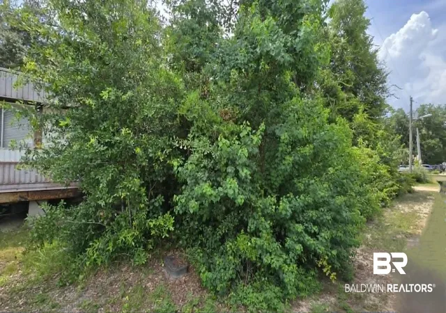 Photo 3 of Land for sale at 0 Florida Ave, Orange Beach, AL 36561 | MLS# 399174 | Listing updated on 2026-08-20